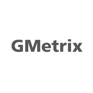 Gmetrix Logo